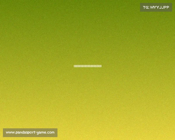 追梦之路：灰熊选中扎克，开启未来新篇章