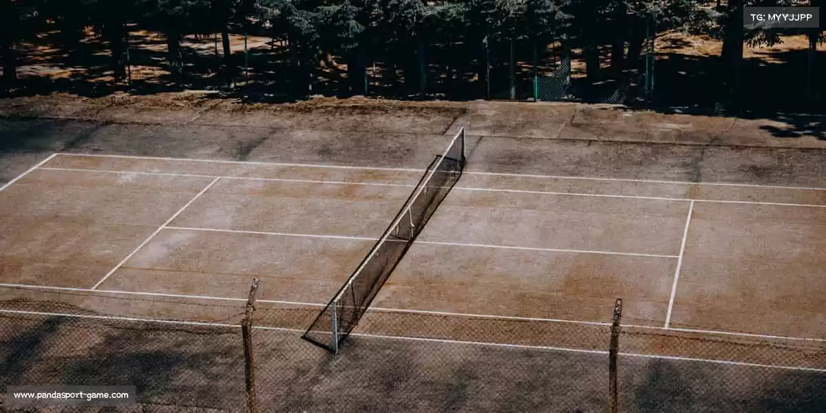 熊猫体育——正品周边，球迷专属荣耀！🎁🏆